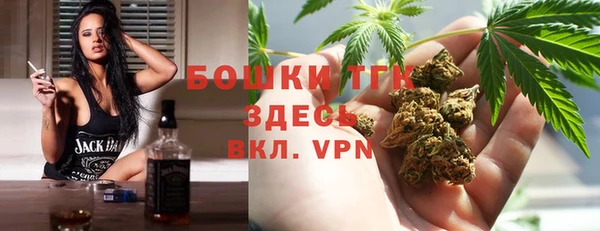 прущий лед Богородск